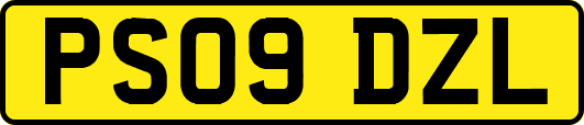 PS09DZL