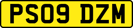 PS09DZM
