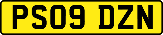 PS09DZN