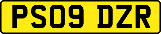 PS09DZR
