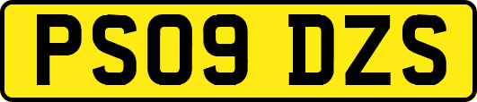 PS09DZS