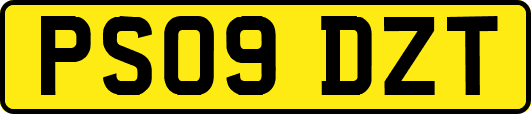 PS09DZT