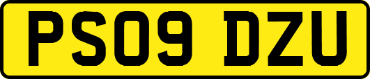 PS09DZU
