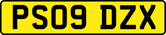 PS09DZX