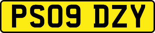 PS09DZY