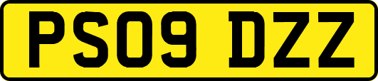 PS09DZZ
