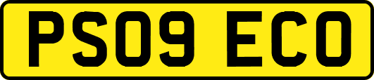 PS09ECO