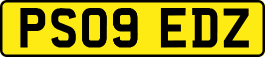 PS09EDZ