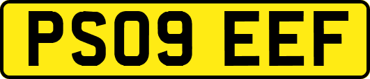 PS09EEF