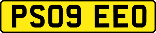 PS09EEO