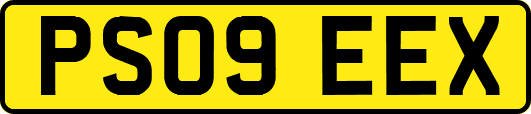 PS09EEX