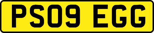 PS09EGG