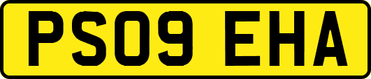 PS09EHA