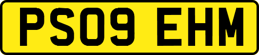 PS09EHM