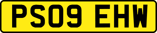 PS09EHW