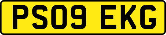 PS09EKG