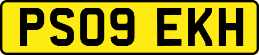PS09EKH