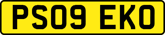 PS09EKO