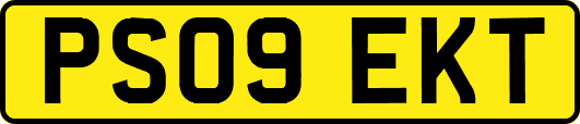 PS09EKT