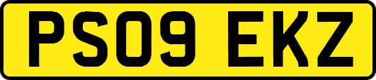 PS09EKZ