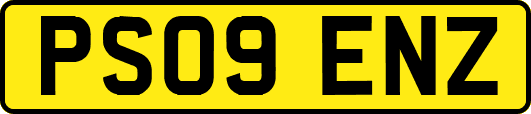 PS09ENZ