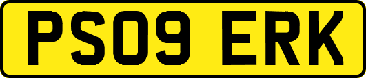 PS09ERK