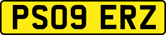 PS09ERZ