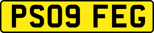 PS09FEG