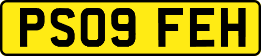 PS09FEH
