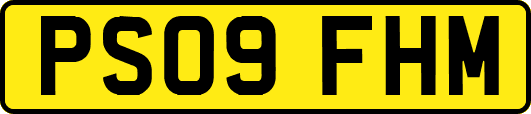 PS09FHM