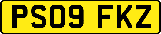 PS09FKZ
