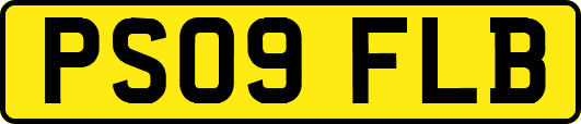 PS09FLB