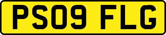 PS09FLG