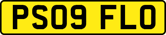 PS09FLO