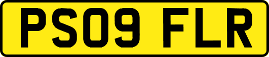 PS09FLR