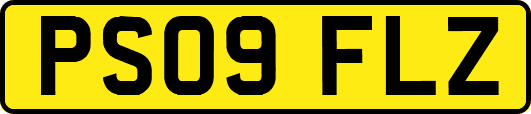 PS09FLZ
