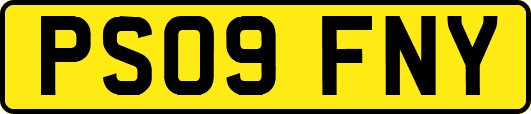 PS09FNY