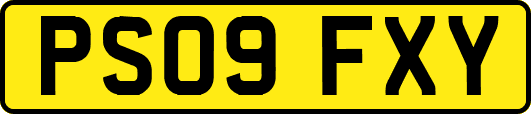 PS09FXY