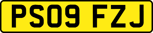 PS09FZJ