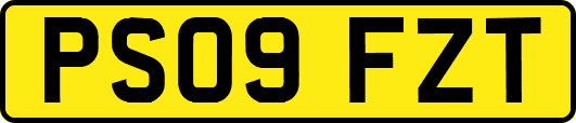 PS09FZT