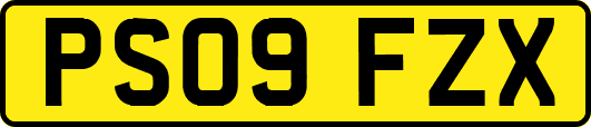 PS09FZX