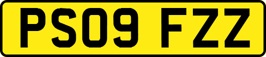 PS09FZZ