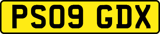 PS09GDX