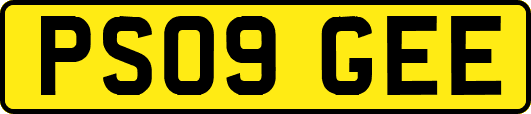 PS09GEE