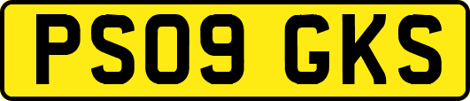 PS09GKS