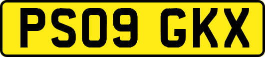 PS09GKX