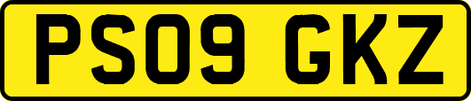 PS09GKZ