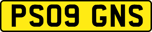 PS09GNS