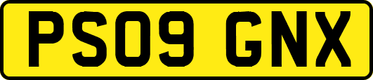 PS09GNX