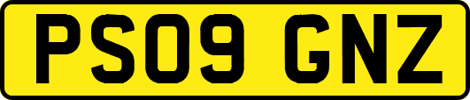 PS09GNZ